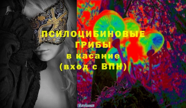 индика Покров