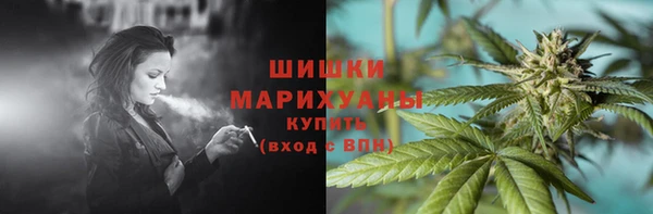 индика Покров
