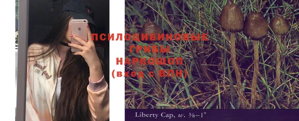 индика Покров